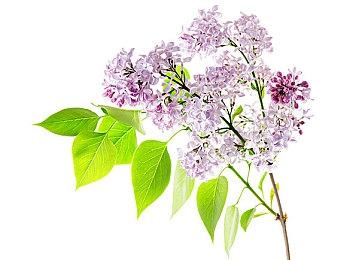 车祸现场救死扶伤 车祸现场模拟器现已脱离抢先体验 